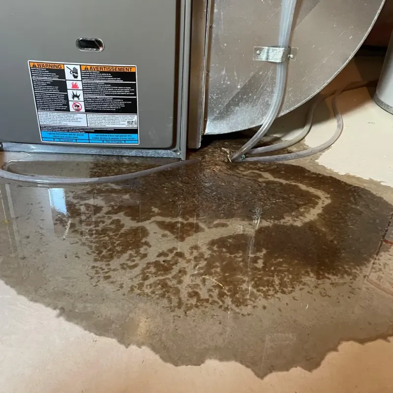 Appliance Leak Cleanup in Greensburg, IN